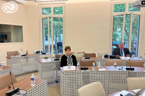 Predsjedavajuća Delegacije PSBiH u Parlamentarnoj skupštini Vijeća Evrope Alma Čolo učestvovala na sjednici Komiteta za pravna pitanja i ljudska prava PSVE u Parizu